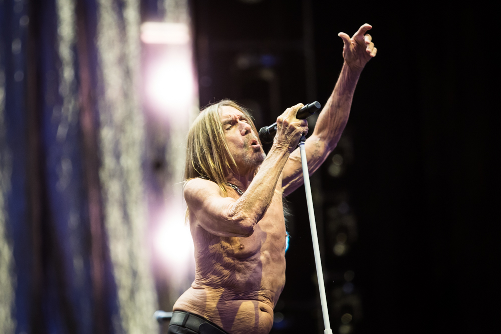 Iggy Pop, Down the Rabbit Hole 2025